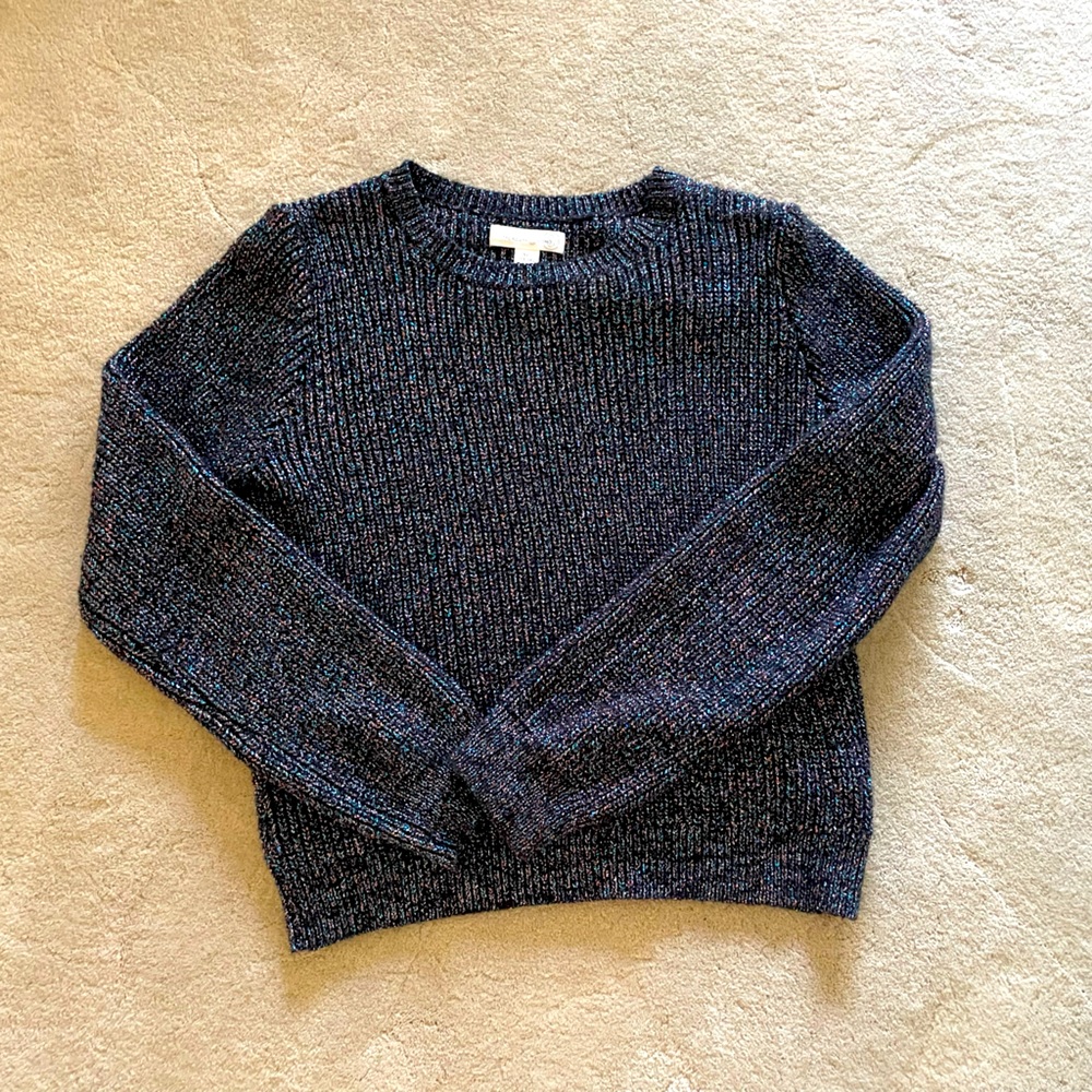 Iridescent Shaker Knit Treasure + Bond Sweater